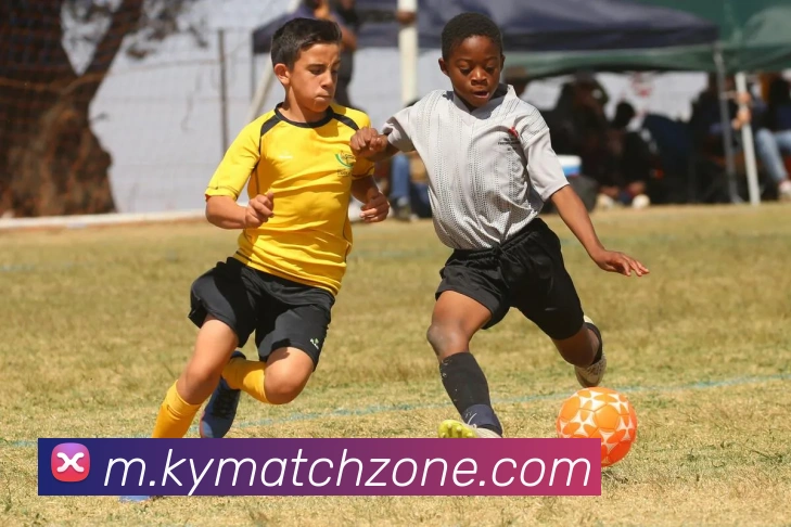 App Interface Preview